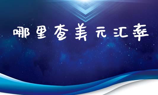 哪里查美元汇率_https://m.fsyjjx.cn_股指期货保证金_第1张