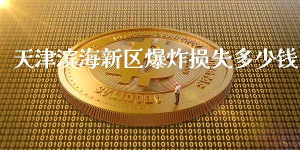 天津滨海新区爆炸损失多少钱_https://m.fsyjjx.cn_期货保证金计算_第1张