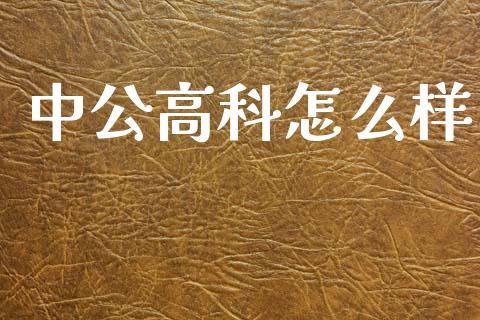 中公高科怎么样_https://m.fsyjjx.cn_期货保证金计算_第1张