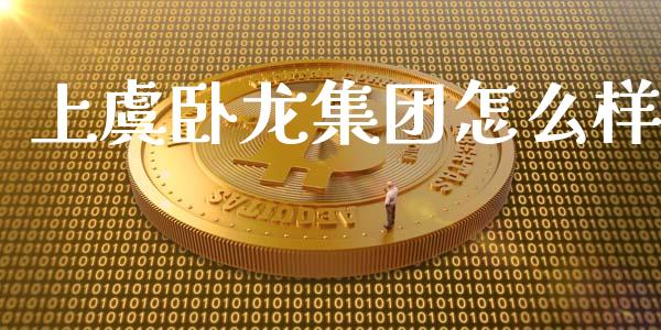 上虞卧龙集团怎么样_https://m.fsyjjx.cn_期货保证金计算_第1张