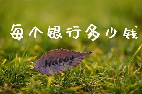 每个银行多少钱_https://m.fsyjjx.cn_期货保证金_第1张