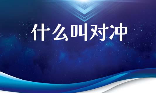 什么叫对冲_https://m.fsyjjx.cn_股指期货保证金_第1张
