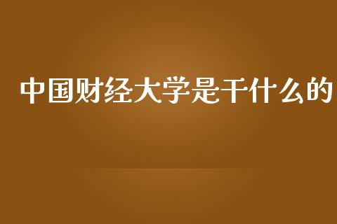 中国财经大学是干什么的_https://m.fsyjjx.cn_期货如何开户_第1张