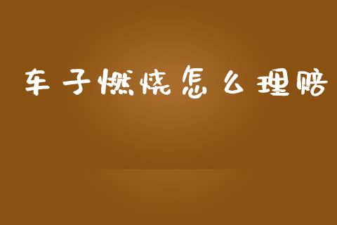 车子燃烧怎么理赔_https://m.fsyjjx.cn_股指期货保证金_第1张