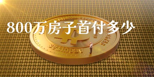 800万房子首付多少_https://m.fsyjjx.cn_期货保证金_第1张