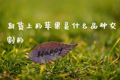 期货上的苹果是什么品种交割的_https://m.fsyjjx.cn_期货保证金计算_第1张