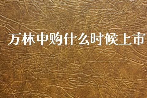 万林申购什么时候上市_https://m.fsyjjx.cn_股指期货保证金_第1张