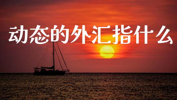 动态的外汇指什么_https://m.fsyjjx.cn_期货如何开户_第1张