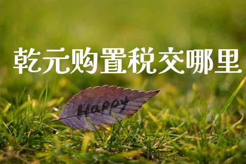 乾元购置税交哪里_https://m.fsyjjx.cn_期货保证金计算_第1张