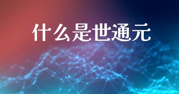 什么是世通元_https://m.fsyjjx.cn_期货保证金_第1张