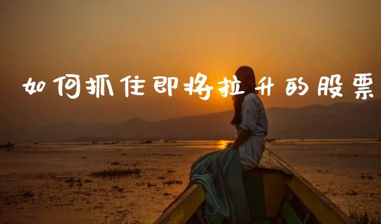 如何抓住即将拉升的股票_https://m.fsyjjx.cn_期货保证金_第1张