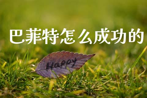 巴菲特怎么成功的_https://m.fsyjjx.cn_股指期货保证金_第1张