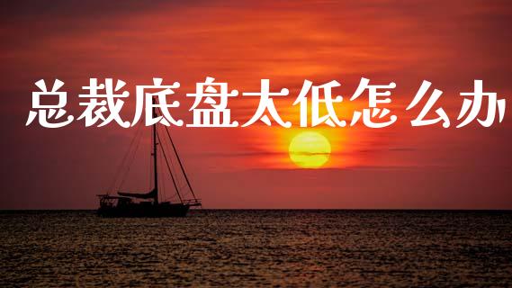 总裁底盘太低怎么办_https://m.fsyjjx.cn_股指期货保证金_第1张
