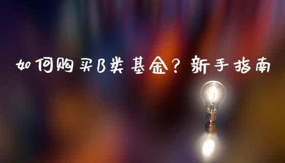 如何购买B类基金？新手指南_https://m.fsyjjx.cn_股指期货保证金_第1张