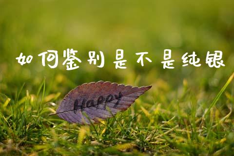 如何鉴别是不是纯银_https://m.fsyjjx.cn_股指期货保证金_第1张