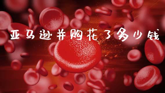 亚马逊并购花了多少钱_https://m.fsyjjx.cn_期货保证金计算_第1张