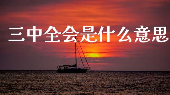 三中全会是什么意思_https://m.fsyjjx.cn_期货如何开户_第1张