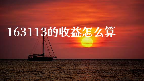 163113的收益怎么算_https://m.fsyjjx.cn_股指期货保证金_第1张