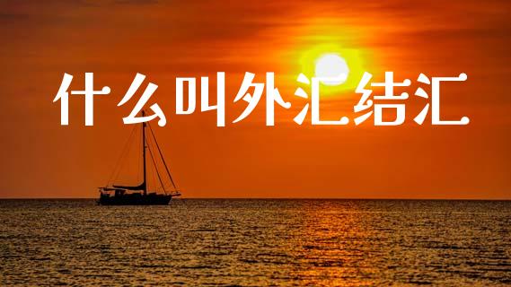 什么叫外汇结汇_https://m.fsyjjx.cn_股指期货保证金_第1张