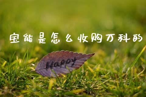 宝能是怎么收购万科的_https://m.fsyjjx.cn_期货保证金计算_第1张