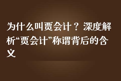 为什么叫贾会计？ 深度解析“贾会计”称谓背后的含义_https://m.fsyjjx.cn_期货保证金计算_第1张