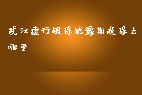 武汉建行银保犹豫期退保去哪里_https://m.fsyjjx.cn_股指期货保证金_第1张
