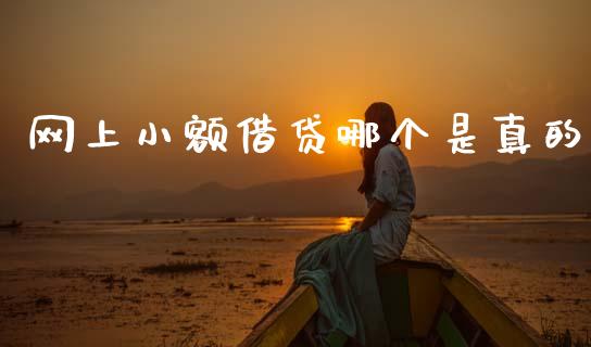 网上小额借贷哪个是真的_https://m.fsyjjx.cn_股指期货保证金_第1张