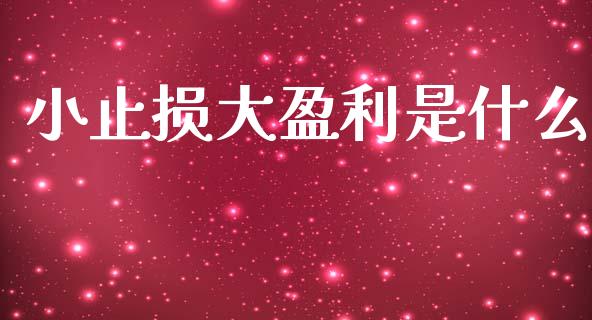 小止损大盈利是什么_https://m.fsyjjx.cn_股指期货保证金_第1张