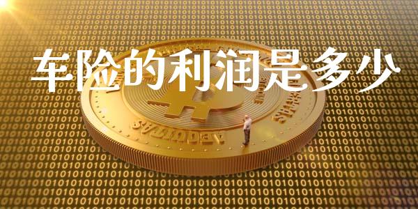 车险的利润是多少_https://m.fsyjjx.cn_期货保证金计算_第1张