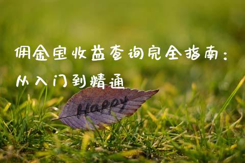 佣金宝收益查询完全指南：从入门到精通_https://m.fsyjjx.cn_期货如何开户_第1张