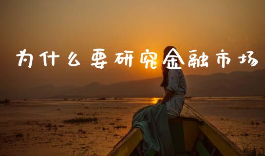 为什么要研究金融市场_https://m.fsyjjx.cn_期货保证金_第1张