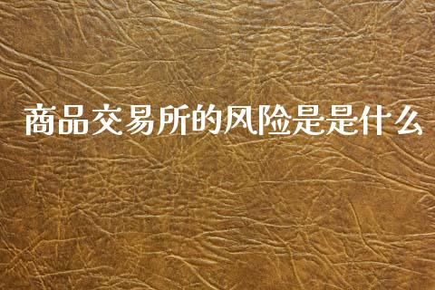 商品交易所的风险是是什么_https://m.fsyjjx.cn_期货保证金_第1张