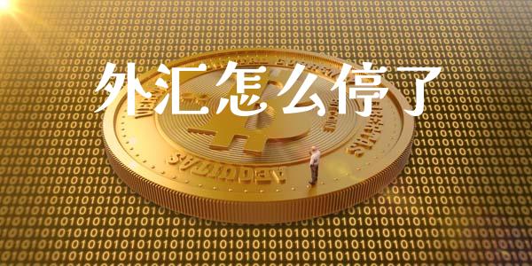 外汇怎么停了_https://m.fsyjjx.cn_股指期货保证金_第1张