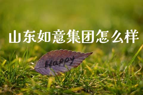 山东如意集团怎么样_https://m.fsyjjx.cn_期货保证金计算_第1张