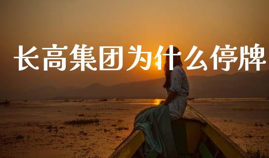 长高集团为什么停牌_https://m.fsyjjx.cn_期货如何开户_第1张