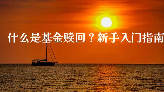 什么是基金赎回?新手入门指南_期货如何开户_第1张_期货如何开户_期货保证金_期货保证金计算_股指期货保证金 什么是基金赎回?新手入门指南_https://m.fsyjjx.cn_期货如何开户_第1张