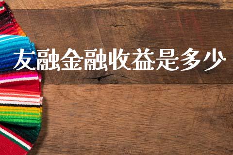 友融金融收益是多少_https://m.fsyjjx.cn_期货保证金_第1张
