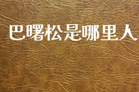 巴曙松是哪里人_https://m.fsyjjx.cn_股指期货保证金_第1张