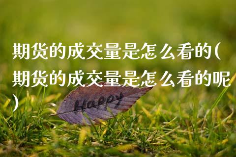 期货的成交量是怎么看的(期货的成交量是怎么看的呢)_https://m.fsyjjx.cn_期货如何开户_第1张