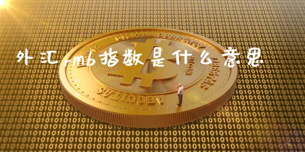 外汇rmb指数是什么意思_https://m.fsyjjx.cn_期货如何开户_第1张