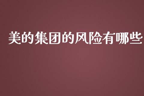 美的集团的风险有哪些_https://m.fsyjjx.cn_股指期货保证金_第1张