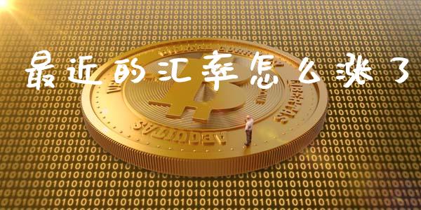 最近的汇率怎么涨了_https://m.fsyjjx.cn_期货保证金_第1张