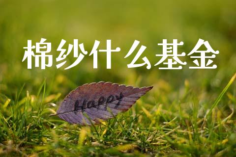 棉纱什么基金_https://m.fsyjjx.cn_期货保证金_第1张