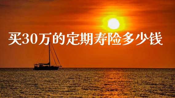 买30万的定期寿险多少钱_https://m.fsyjjx.cn_期货保证金计算_第1张