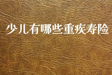 少儿有哪些重疾寿险_https://m.fsyjjx.cn_股指期货保证金_第1张