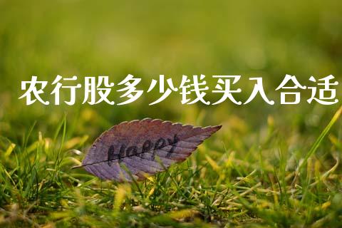 农行股多少钱买入合适_https://m.fsyjjx.cn_期货如何开户_第1张