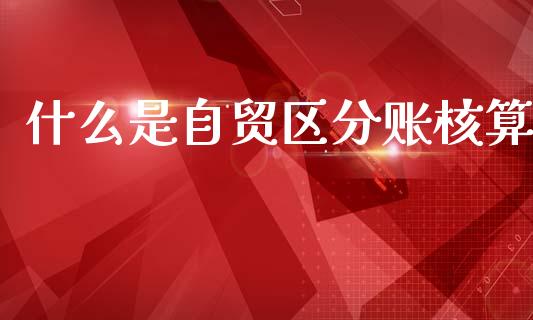 什么是自贸区分账核算_https://m.fsyjjx.cn_股指期货保证金_第1张
