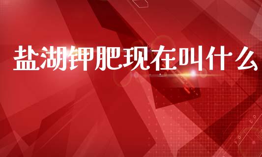 盐湖钾肥现在叫什么_https://m.fsyjjx.cn_期货如何开户_第1张