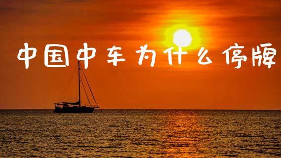 中国中车为什么停牌_https://m.fsyjjx.cn_股指期货保证金_第1张
