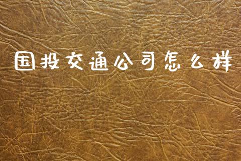 国投交通公司怎么样_https://m.fsyjjx.cn_股指期货保证金_第1张